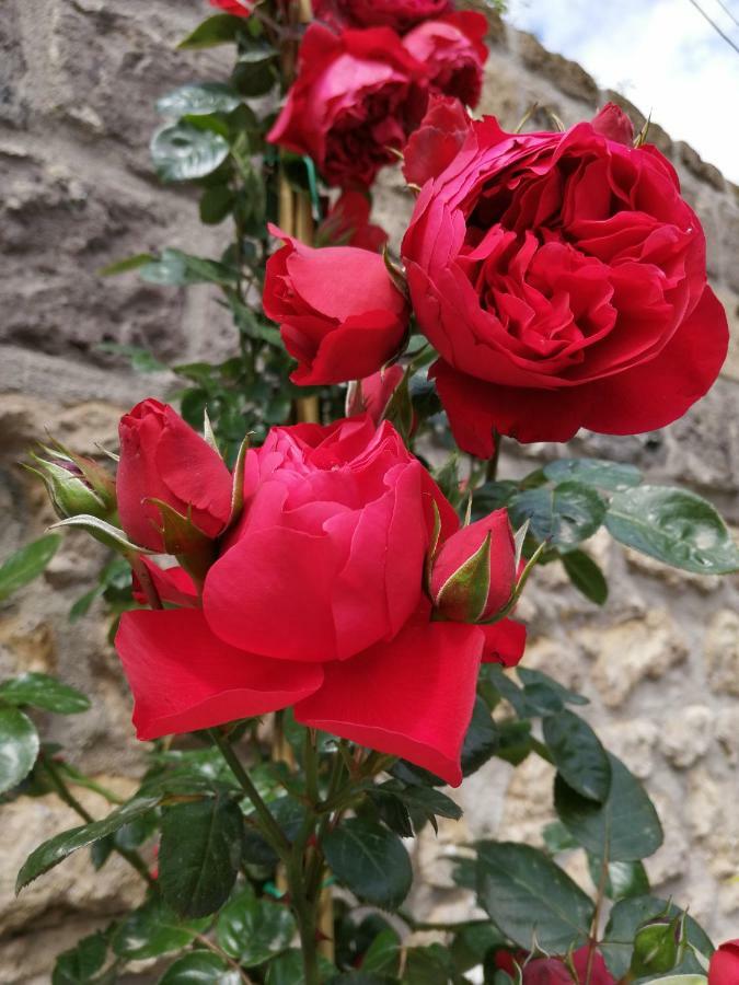 B&B Mario Relais Sorrento Bagian luar foto